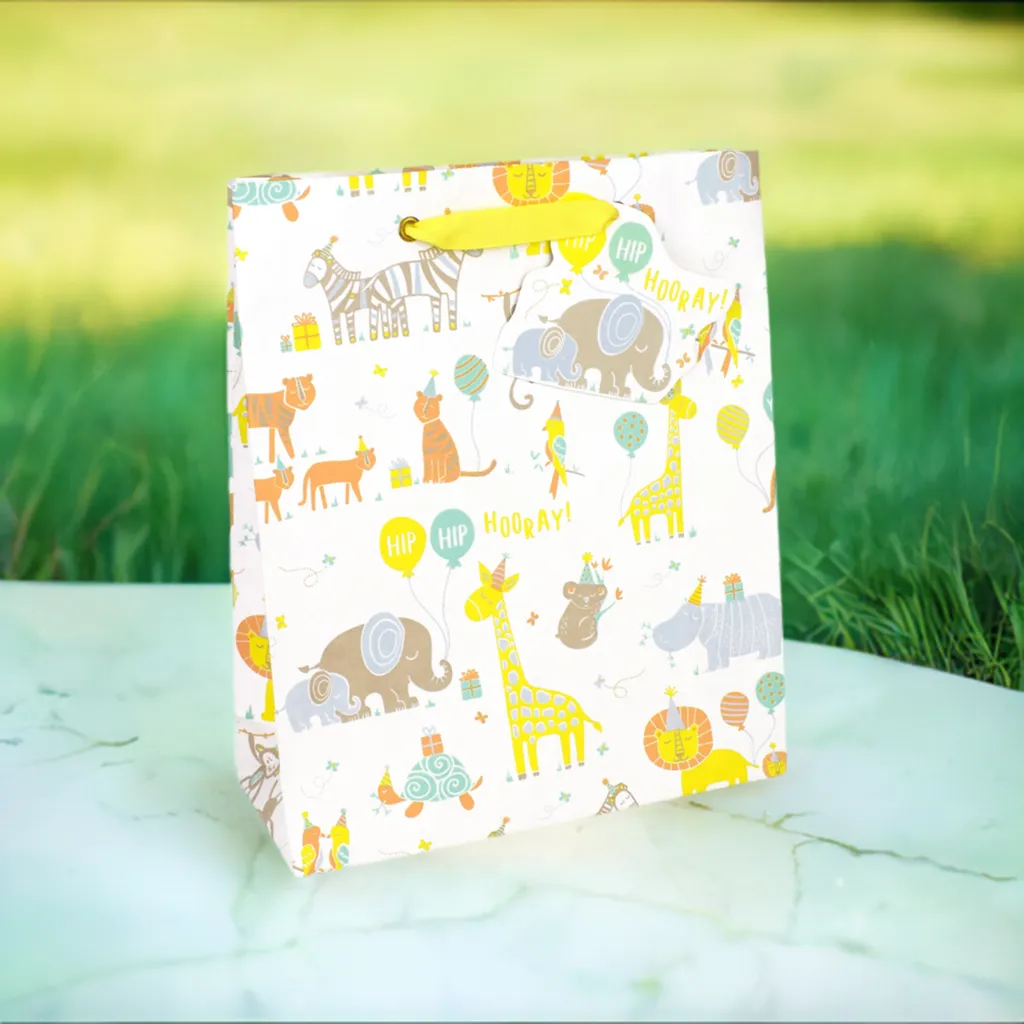 Baby Large Gift Bag