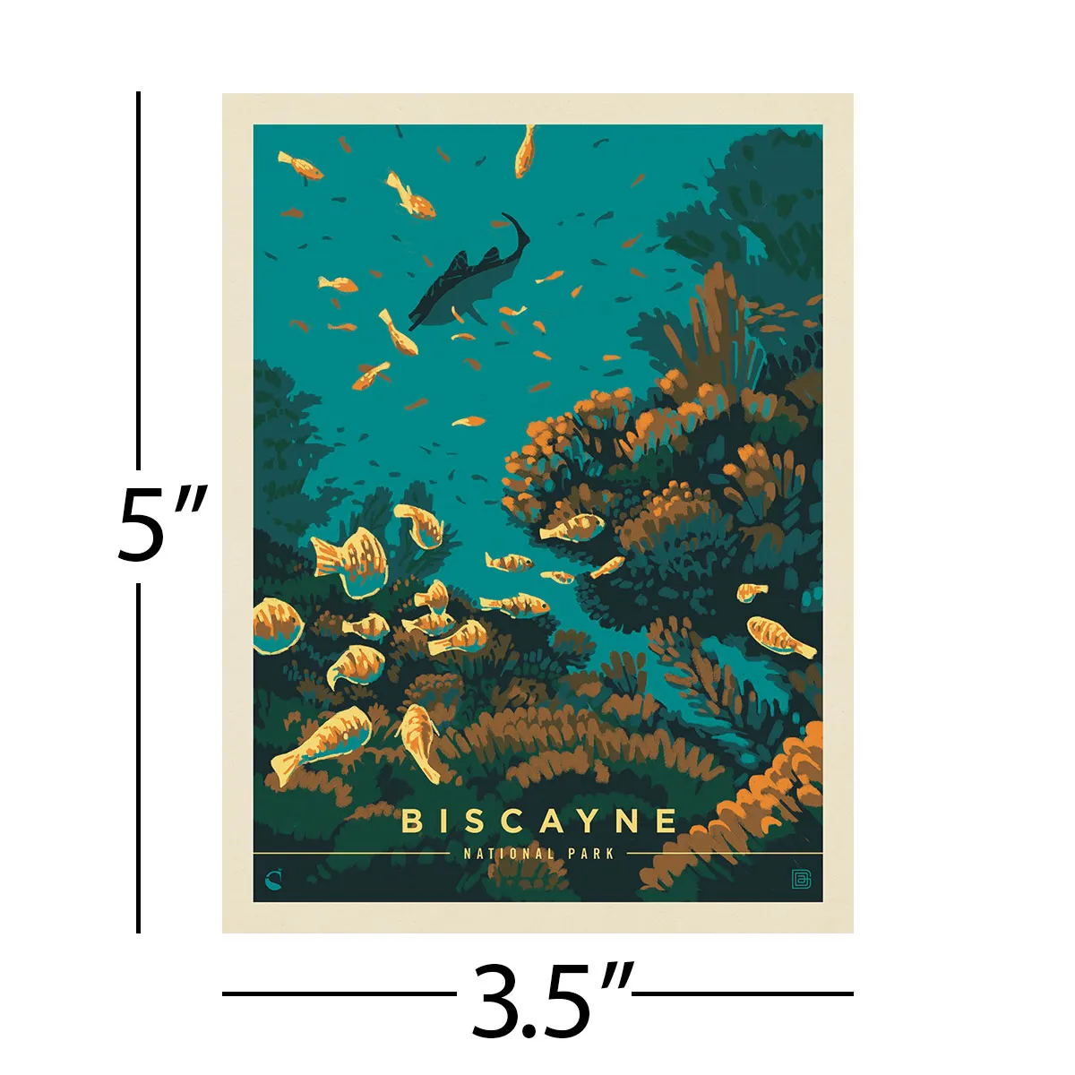 Biscayne National Park Florida Coral Vinyl Sticker