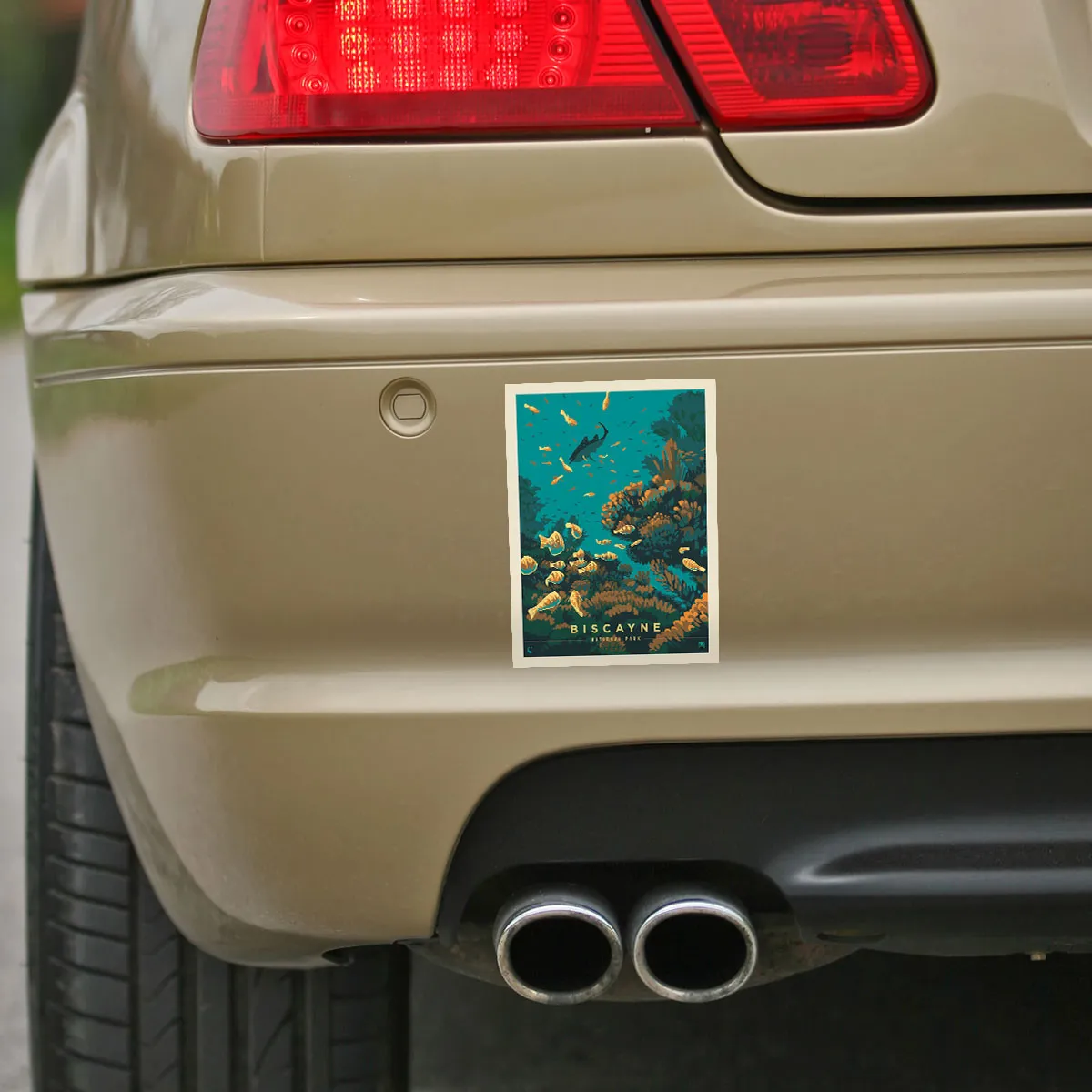 Biscayne National Park Florida Coral Vinyl Sticker