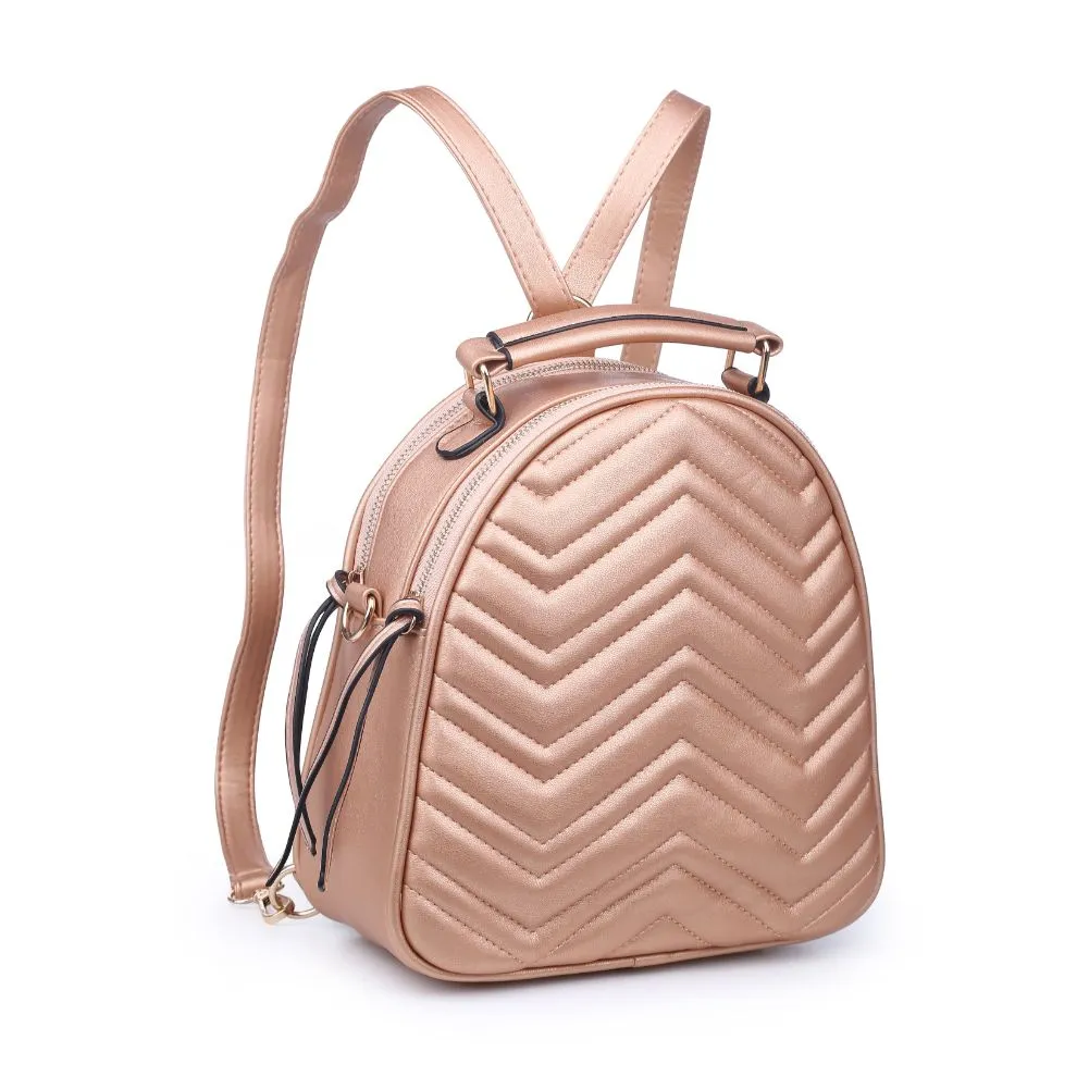 Constance V Stitch Double Zip Backpack