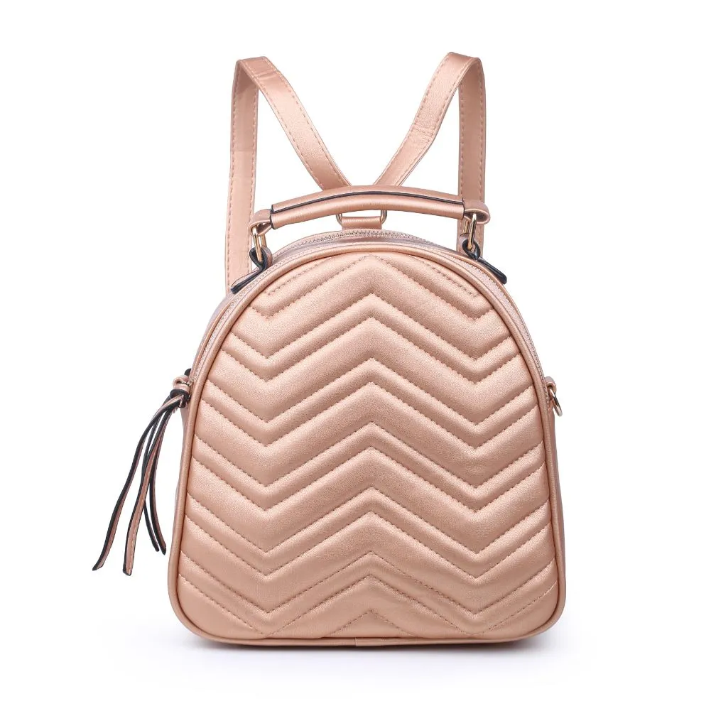 Constance V Stitch Double Zip Backpack