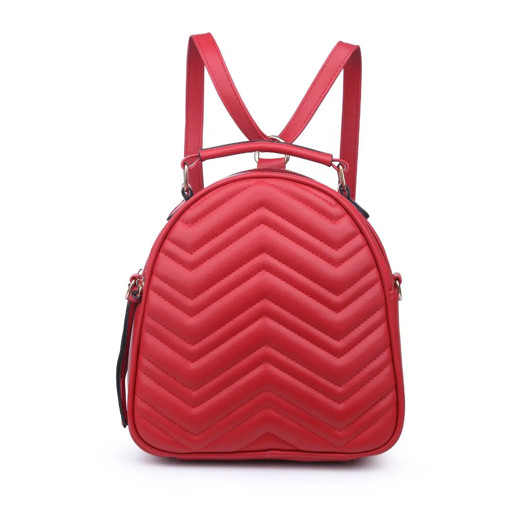 Constance V Stitch Double Zip Backpack