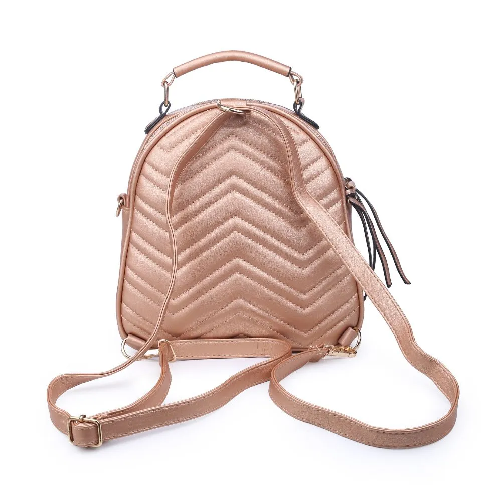 Constance V Stitch Double Zip Backpack