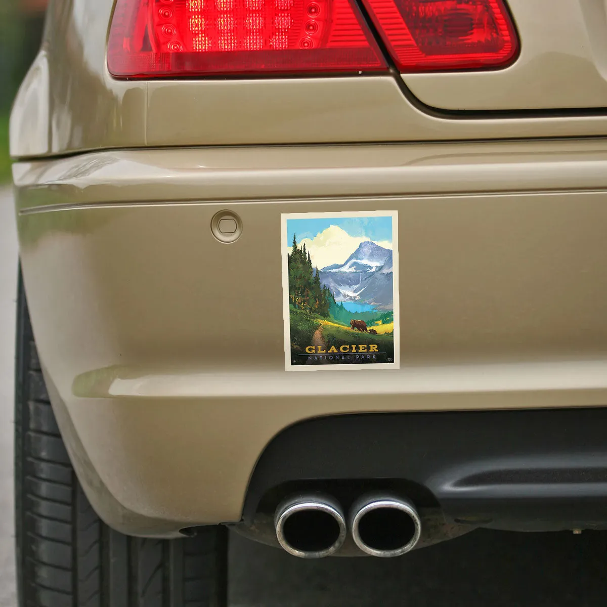 Glacier National Park Montana Bears Vinyl Sticker